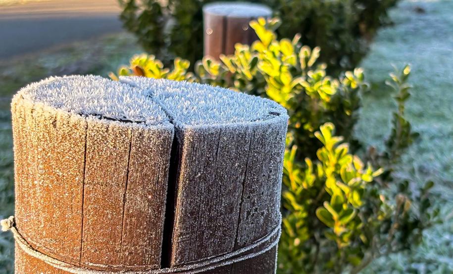 QUARTA-FEIRA AMANHECE COM GEADA E TEMPERATURA NEGATIVA NO PARANÁ