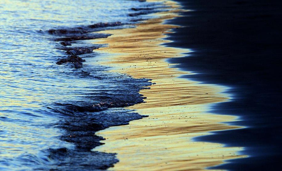 Cores da Natureza do Paraná: Sedest lança livro fotográfico da biodiversidade do Estado