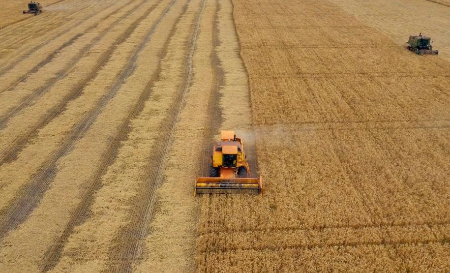 Dados federais confirmam liderança do Paraná na regularização ambiental rural do País