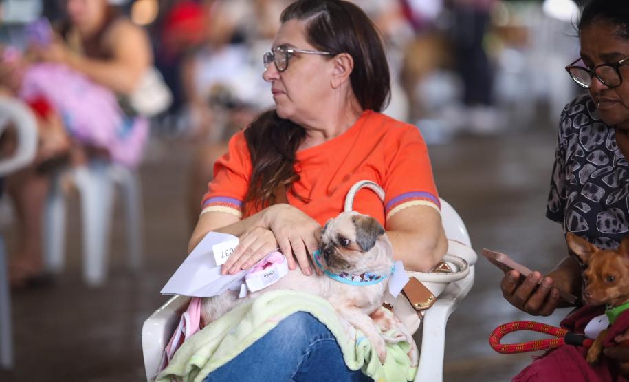 3,3 mil animais de 21 municípios serão atendidos pelo CastraPet em julho; confira a agenda