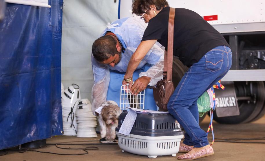 3,3 mil animais de 21 municípios serão atendidos pelo CastraPet em julho; confira a agenda