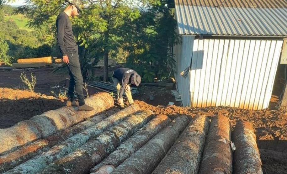 Operação Bioma Seguro, coordenada pelo IAT, resultou em quase R$ 4 milhões em multas por danos ao meio ambiente