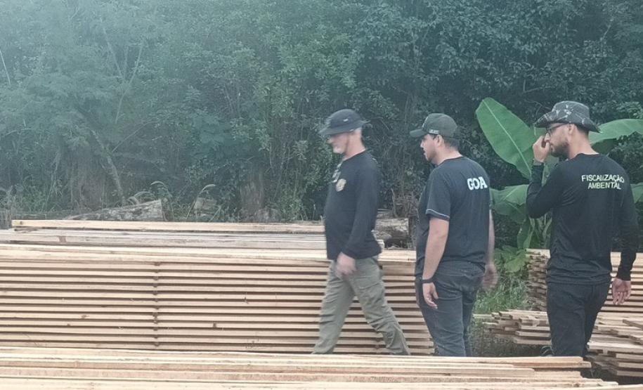 Operação Bioma Seguro, coordenada pelo IAT, resultou em quase R$ 4 milhões em multas por danos ao meio ambiente