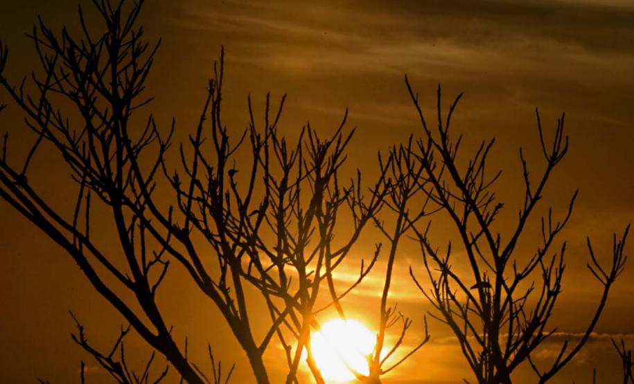 Cores da Natureza do Paraná: Sedest lança livro fotográfico da biodiversidade do Estado