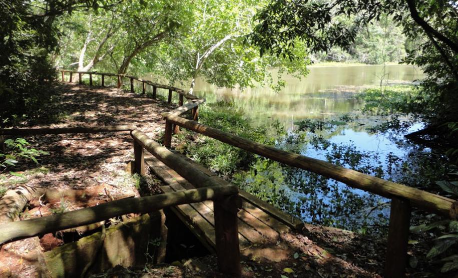 Do mangue ao sítio arqueológico: parques estaduais são abrigos da natureza paranaense