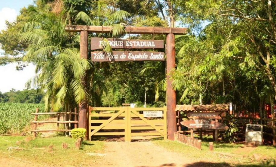 Do mangue ao sítio arqueológico: parques estaduais são abrigos da natureza paranaense