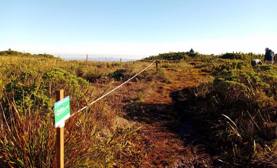 IAT cerca áreas degradadas do Pico Paraná para viabilizar restauração ambiental