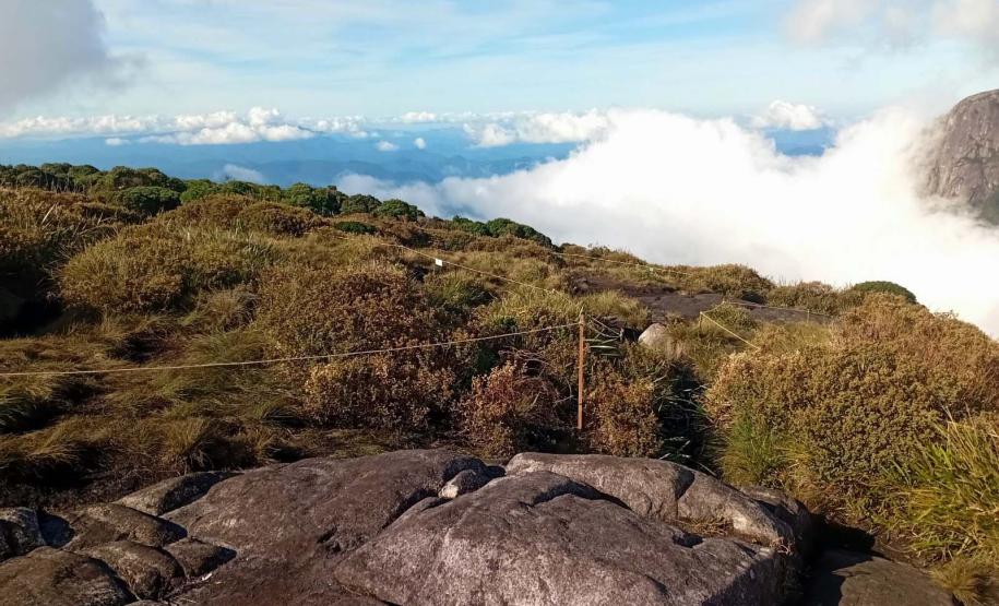 IAT cerca áreas degradadas do Pico Paraná para viabilizar restauração ambiental