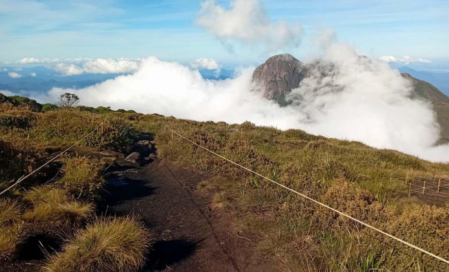 IAT cerca áreas degradadas do Pico Paraná para viabilizar restauração ambiental
