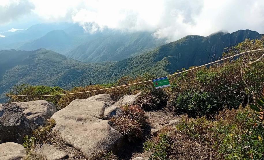 IAT cerca áreas degradadas do Pico Paraná para viabilizar restauração ambiental
