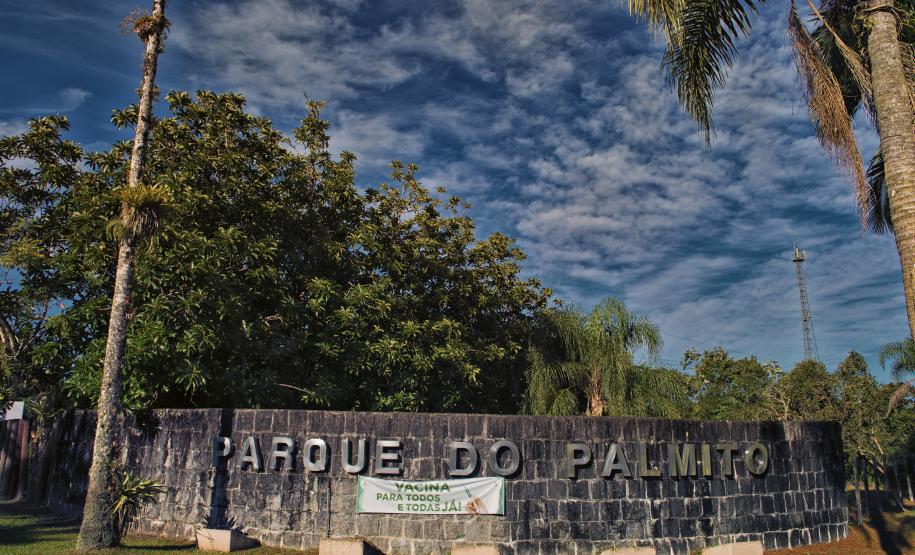 Do mangue ao sítio arqueológico: parques estaduais são abrigos da natureza paranaense