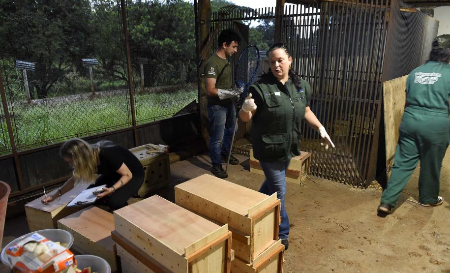 Novo canal do IAT registrou mais de 2,8 mil denúncias de crimes ambientais em 4 meses