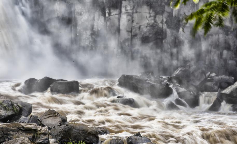 Cores da Natureza do Paraná: Sedest lança livro fotográfico da biodiversidade do Estado