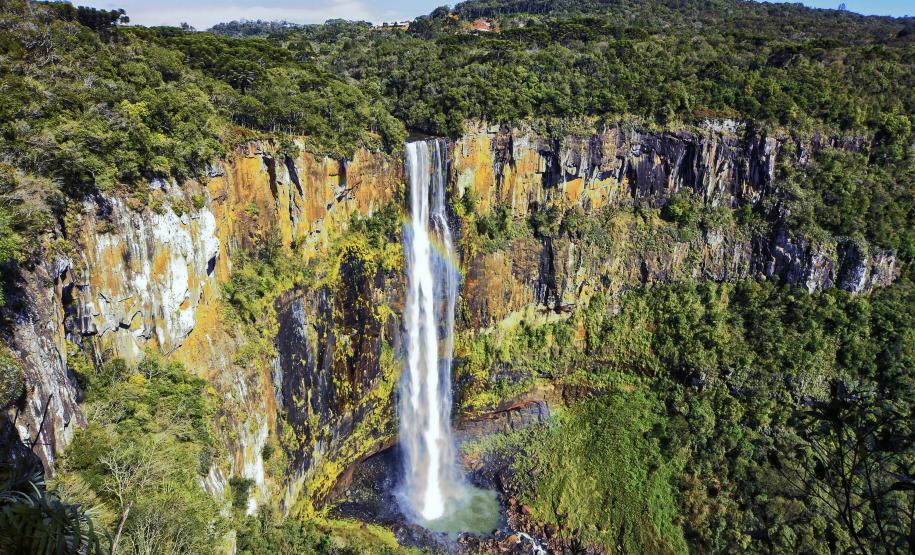 Cores da Natureza do Paraná: Sedest lança livro fotográfico da biodiversidade do Estado