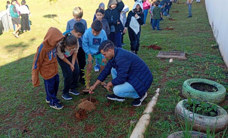 Com entrega de mudas, Semana do Meio Ambiente ajuda a regenerar 4,8 hectares no Paraná