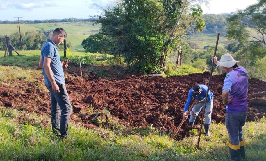Com entrega de mudas, Semana do Meio Ambiente ajuda a regenerar 4,8 hectares no Paraná