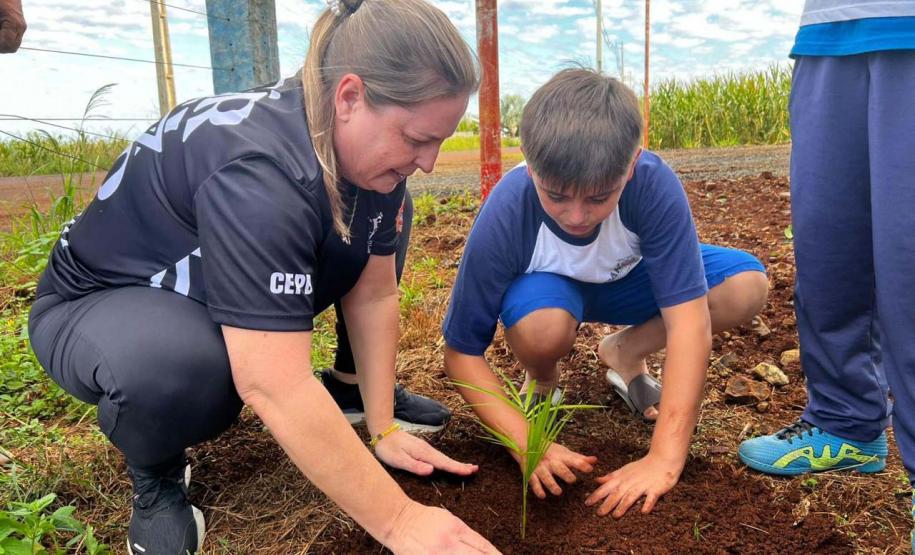 Com entrega de mudas, Semana do Meio Ambiente ajuda a regenerar 4,8 hectares no Paraná