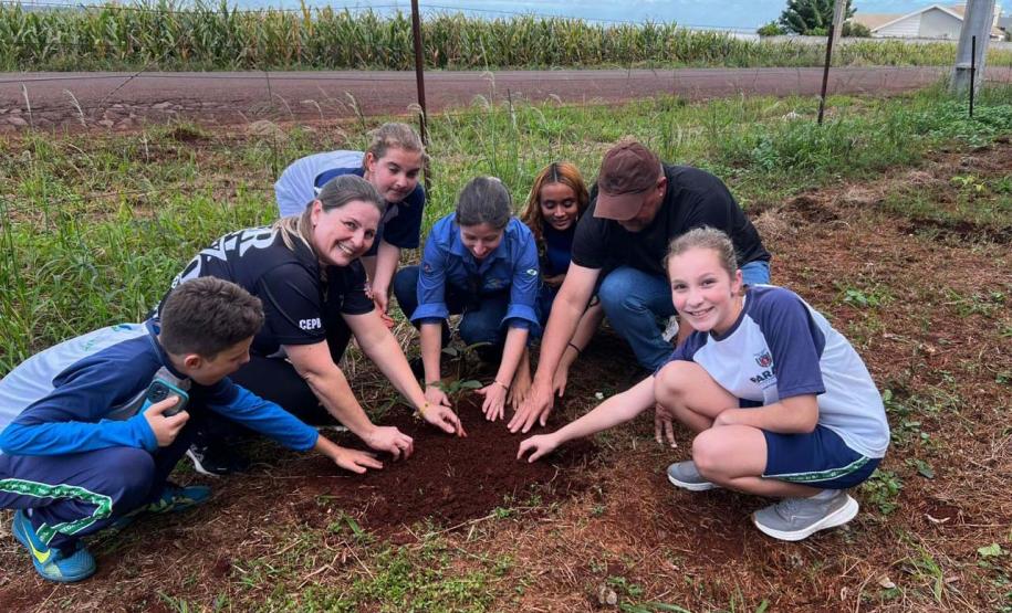 Com entrega de mudas, Semana do Meio Ambiente ajuda a regenerar 4,8 hectares no Paraná