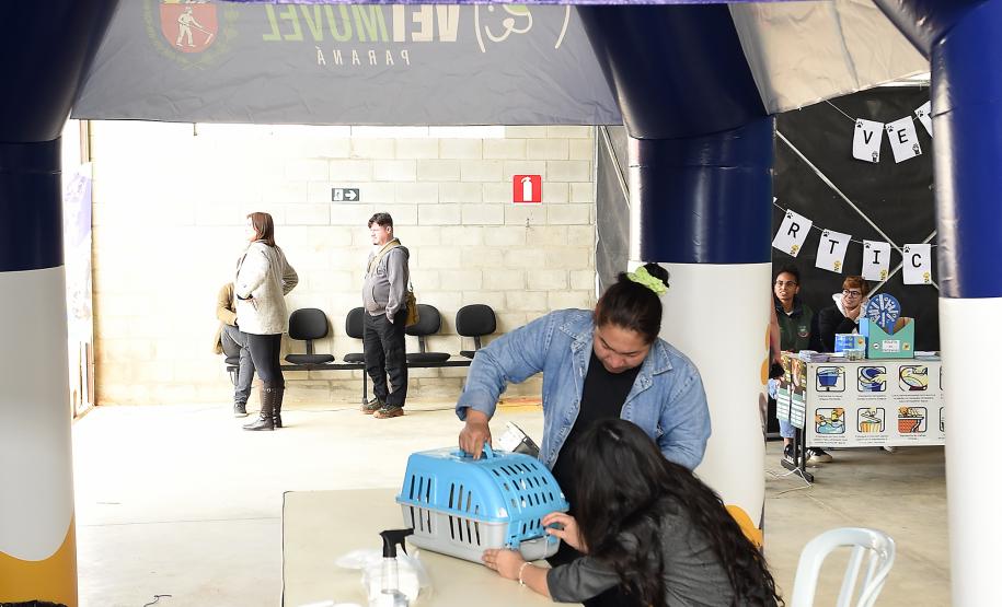 Vet-Móvel Paraná inicia atendimentos em Campo Magro e Bocaiúva do Sul
