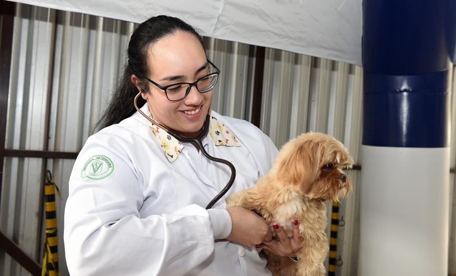 Vet-Móvel Paraná inicia atendimentos em Campo Magro e Bocaiúva do Sul