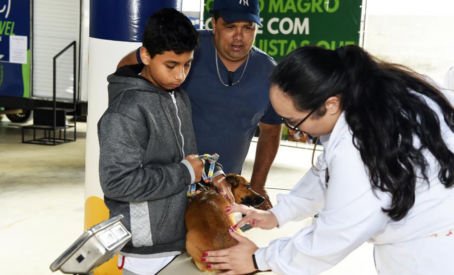 Vet-Móvel Paraná inicia atendimentos em Campo Magro e Bocaiúva do Sul