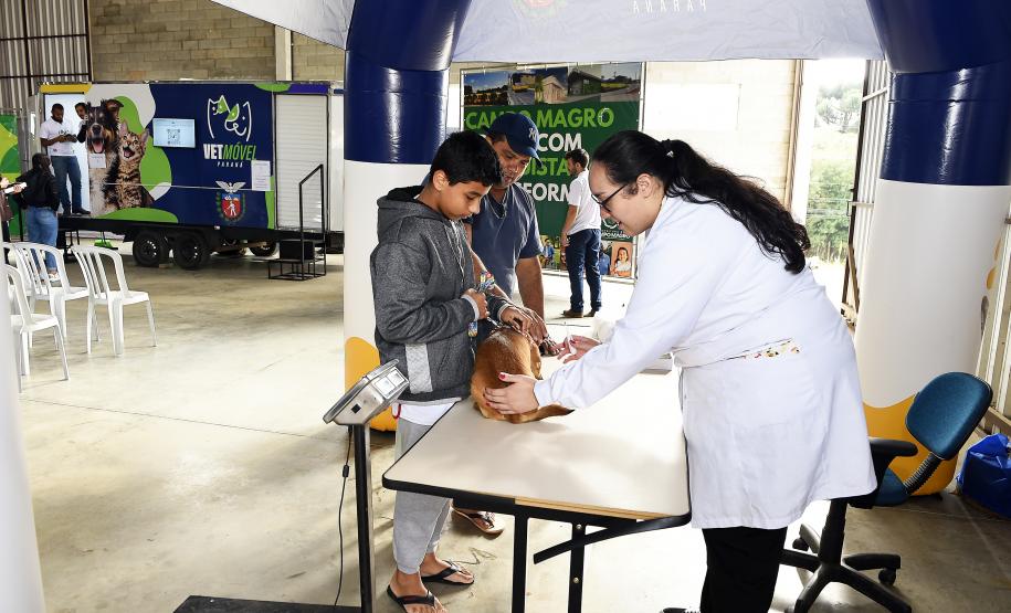 Vet-Móvel Paraná inicia atendimentos em Campo Magro e Bocaiúva do Sul