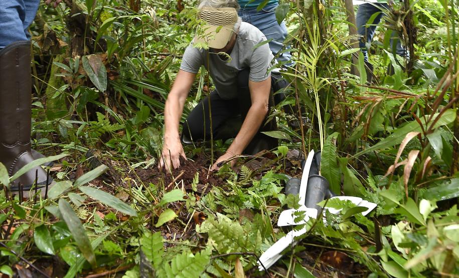 Plantio de mudas, trilha sensorial e mutirão agitam a Semana do Meio Ambiente