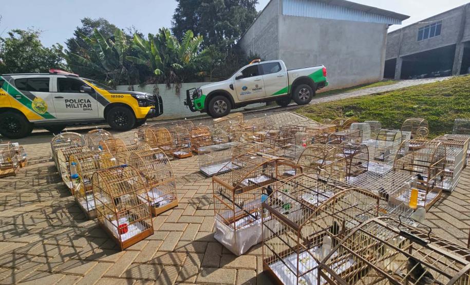 PMPR e IAT apreendem 95 aves e aplicam mais de R$ 400 mil em multas em Guarapuava
