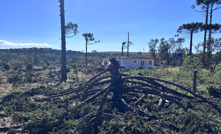 Simepar confirma tornado da categoria F2 em Reserva; ventos chegaram a 200 km/h