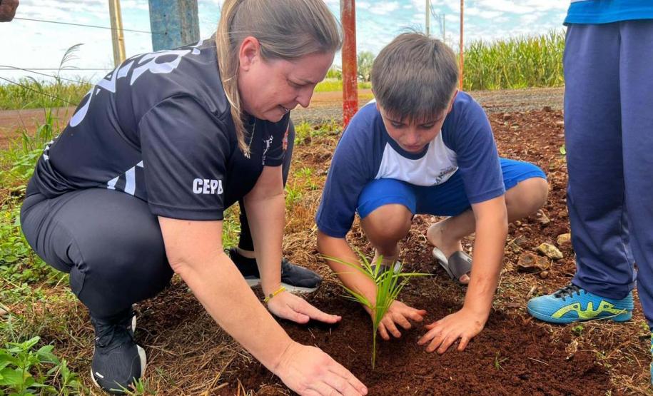 Regulamentação do Parque Escola fortalece educação ambiental nas Unidades de Conservação