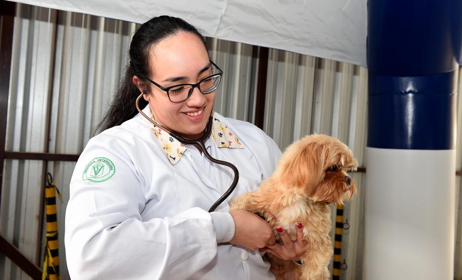 Em um mês, Vet-Móvel registra 32,3 mil agendamentos e avança para mais cidades do Paraná