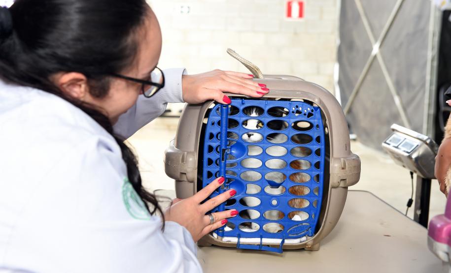 Em um mês, Vet-Móvel registra 32,3 mil agendamentos e avança para mais cidades do Paraná