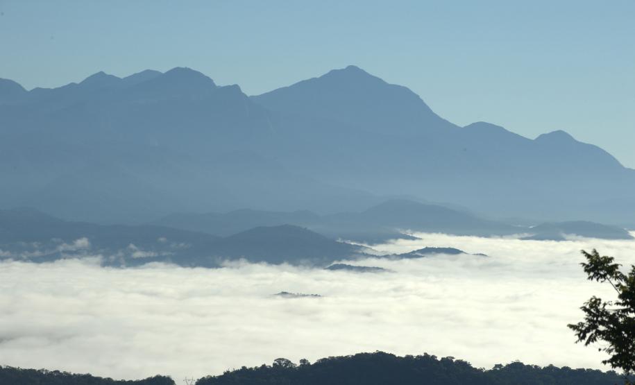 Edição 2026 do Selo Clima Paraná alcançou 382 participantes, 22% a mais do que no ano passado