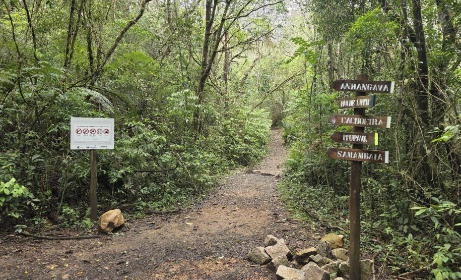 IAT divulga novo horário de funcionamento do Parque Estadual da Serra da Baitaca