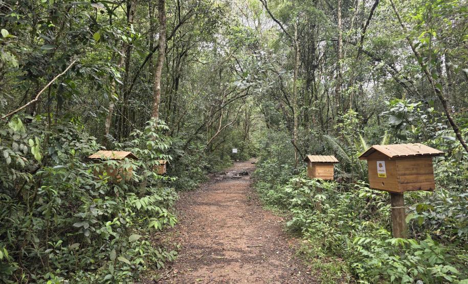 IAT divulga novo horário de funcionamento do Parque Estadual da Serra da Baitaca