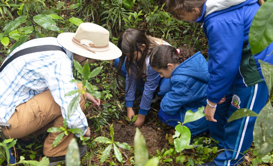 Dia do Educador Ambiental: Cidadão Sustentável leva formação a 119 municípios do Paraná