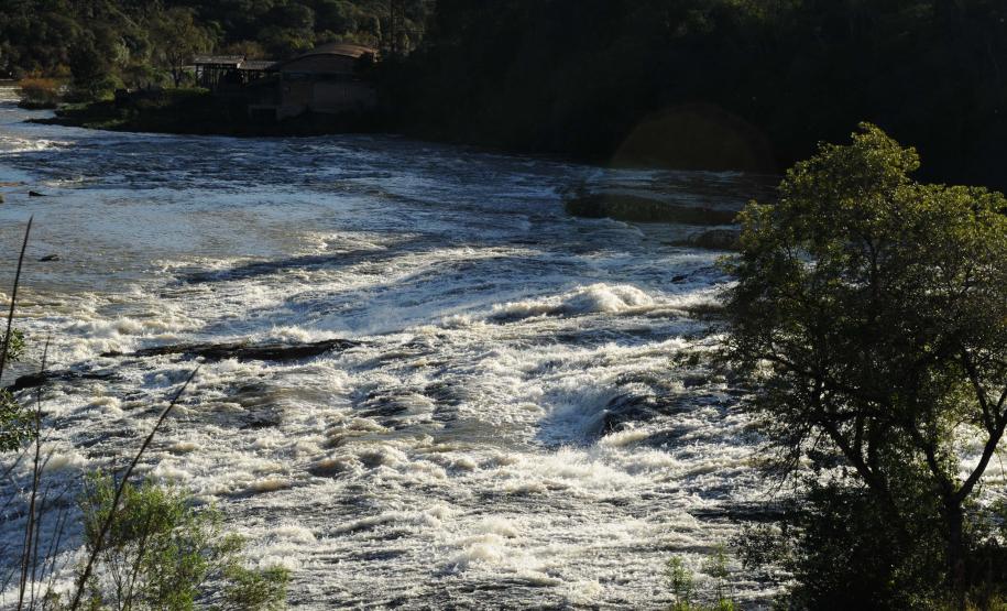 CBHs do Rio Jordão e dos Afluentes do Médio Iguaçu discutem gestão da água no Paraná