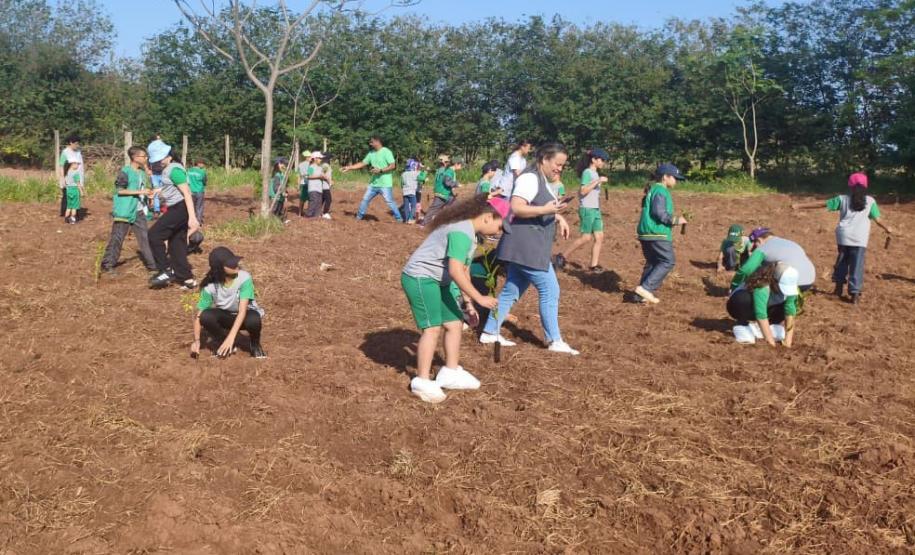 Paraná vai fechar o ano com mais de 15 milhões de espécies nativas distribuídas desde 2019