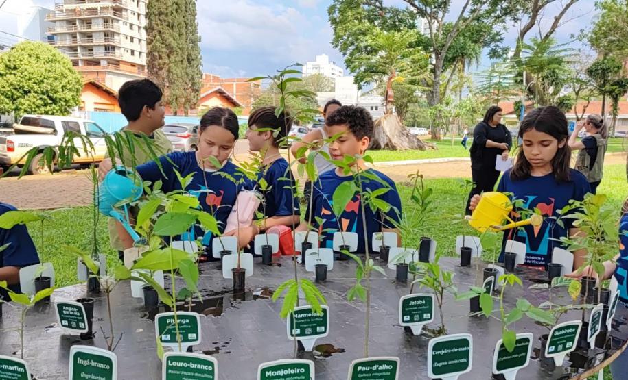 Paraná vai fechar o ano com mais de 15 milhões de espécies nativas distribuídas desde 2019