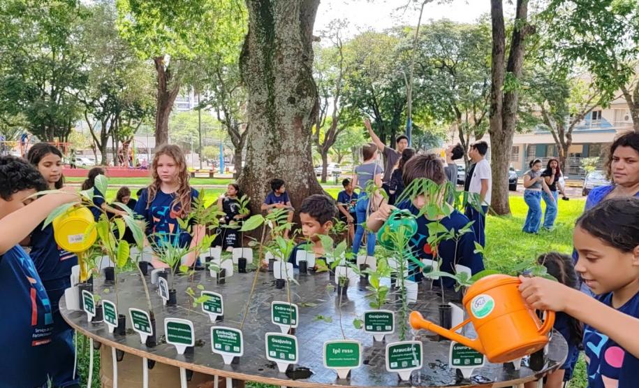 Paraná vai fechar o ano com mais de 15 milhões de espécies nativas distribuídas desde 2019