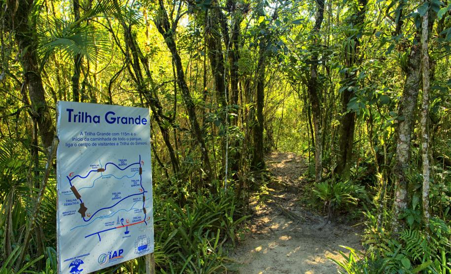 Feriadão na praia? Parque Rio da Onça oferece cinco trilhas para explorar a Mata Atlântica