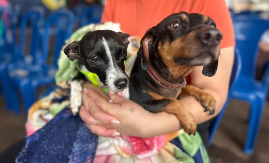 CastraPet beneficiou 15,8 mil animais do Litoral e RMC