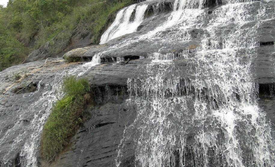 Parque Estadual do Cerrado.Foto: Divulgação IAP