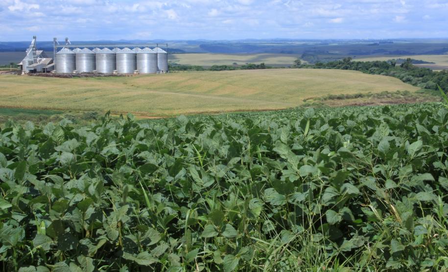 Paraná e entidades se unem para incentivar o Cadastro Ambiental Rural.Foto: Cleverson Beje/FAEP