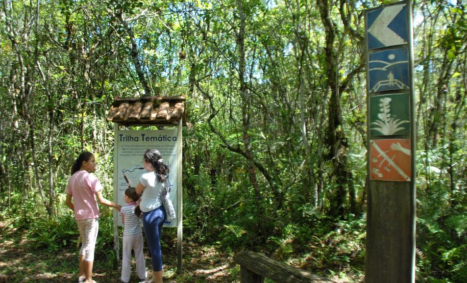 Parque Estadual Rio da Onças,Matinhos, 12-01-2012.Foto: Arnaldo Alves /ANPr