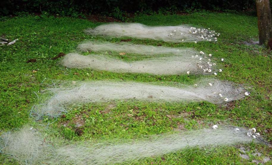 Desde o início do Verão Paraná 2017/2018, a 1ª Companhia de Polícia Ambiental Força Verde (BPAmb-FV), juntamente com o 9º Batalhão de Polícia Militar (9º BPM), está atuando com reforço de equipes em todo o litoral do estado para coibir crimes contra a natureza, principalmente a pesca irregular.Matinhos, 31/12/2017Foto: PMPR