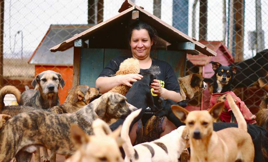 A Associação Defensora de Animais (ADA) de Londrina encontrou nos recursos do programa Nota Paraná uma forma de garantir o atendimento contínuo aos cerca de 600 cães e gatos da instituição. Foto: Acervo pessoal