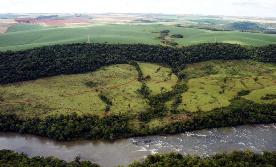 Mata ciliarFoto: José Gomercindo/SECS