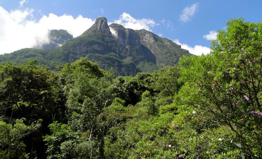 IAP fecha por 15 dias unidades de conservação estaduais no Litoral IAP fecha por 15 dias unidades de conservação estaduais no Litoral