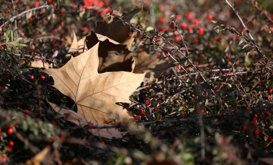 Outono será chuvoso e com temperaturas pouco acima da média